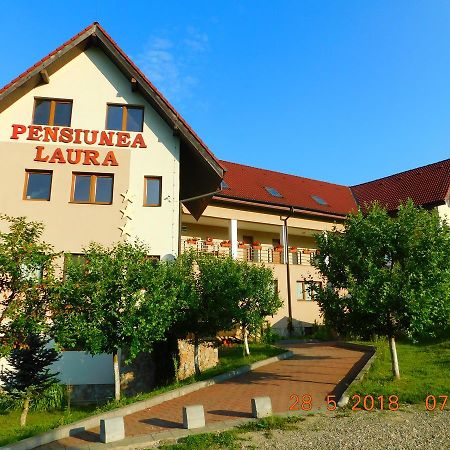 Pension Laura Cheile Turzii Petreştii de Jos エクステリア 写真