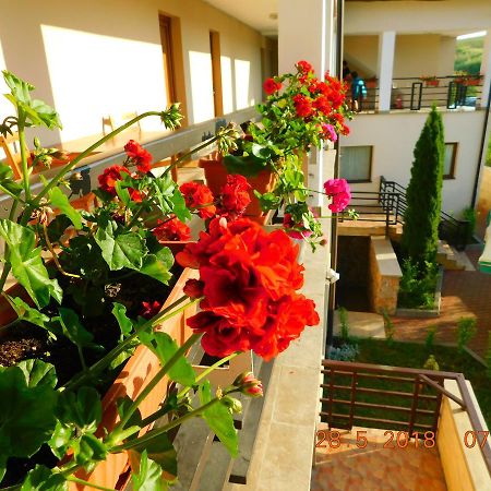 Pension Laura Cheile Turzii Petreştii de Jos エクステリア 写真