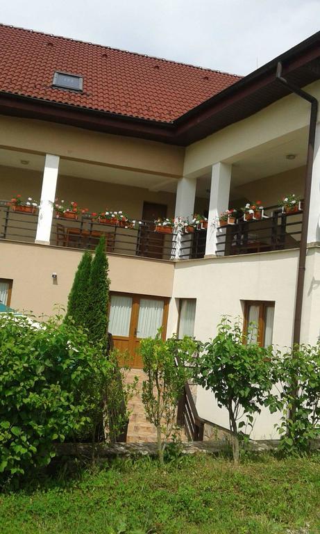 Pension Laura Cheile Turzii Petreştii de Jos エクステリア 写真