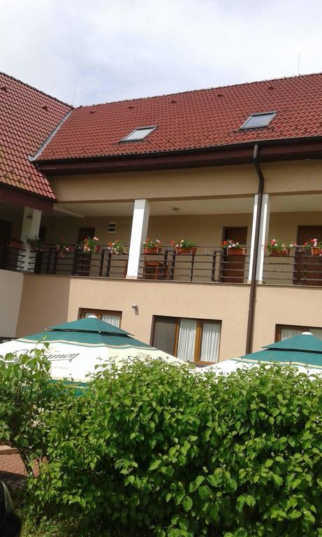 Pension Laura Cheile Turzii Petreştii de Jos エクステリア 写真