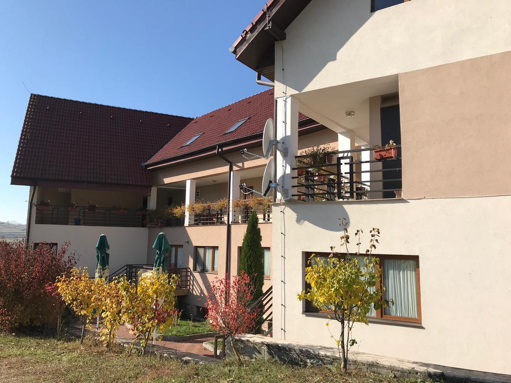 Pension Laura Cheile Turzii Petreştii de Jos エクステリア 写真