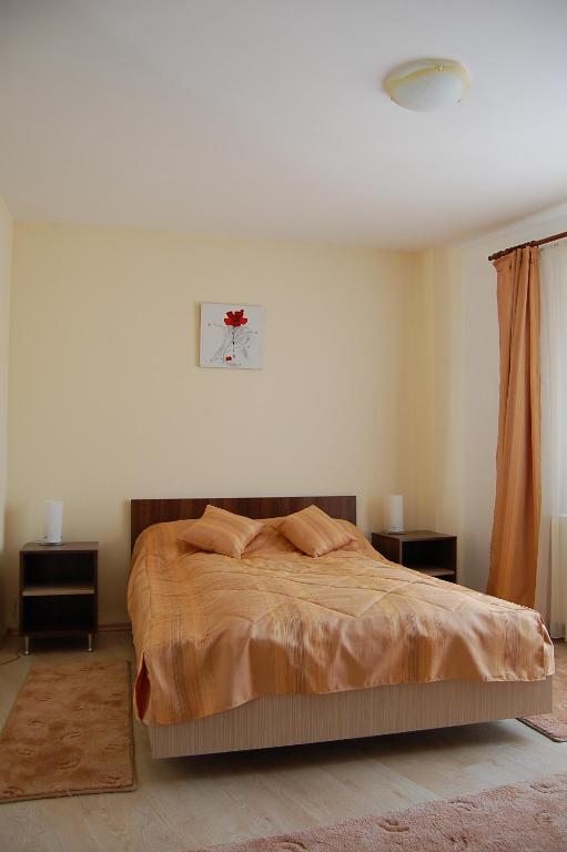 Pension Laura Cheile Turzii Petreştii de Jos 部屋 写真