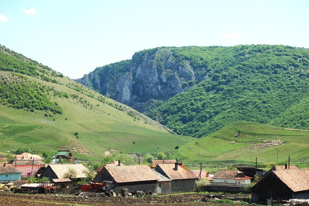 Pension Laura Cheile Turzii Petreştii de Jos エクステリア 写真