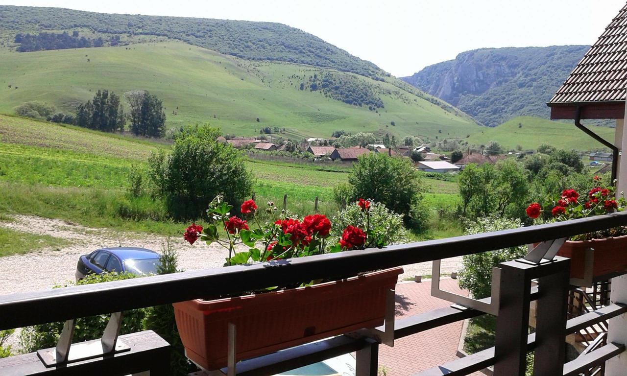Pension Laura Cheile Turzii Petreştii de Jos エクステリア 写真