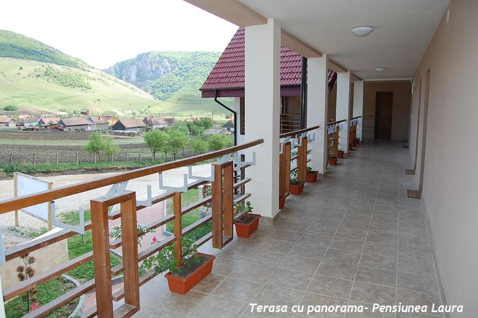 Pension Laura Cheile Turzii Petreştii de Jos エクステリア 写真